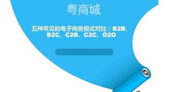 為啥越來越多公司選擇B2C商城系統(tǒng)