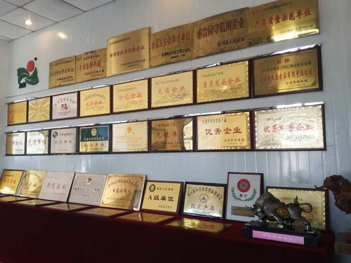 發展中甘肅旭康集團