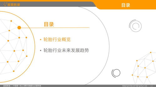 中國(guó)輪胎b2c電商市場(chǎng)分析報(bào)告